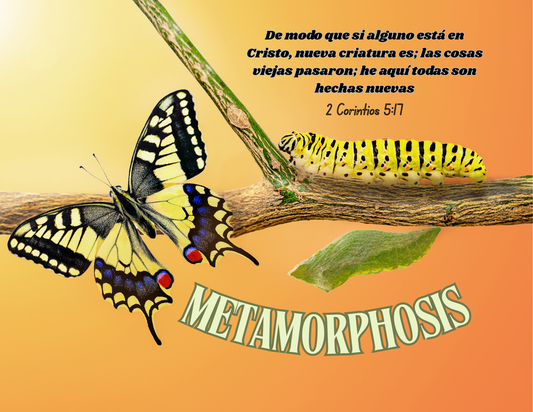 Beautiful Mouse Pad with a metamorphosis design